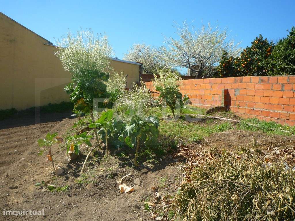 Terreno p/ construção moradia - Esgueira - Grande imagem: 3/4