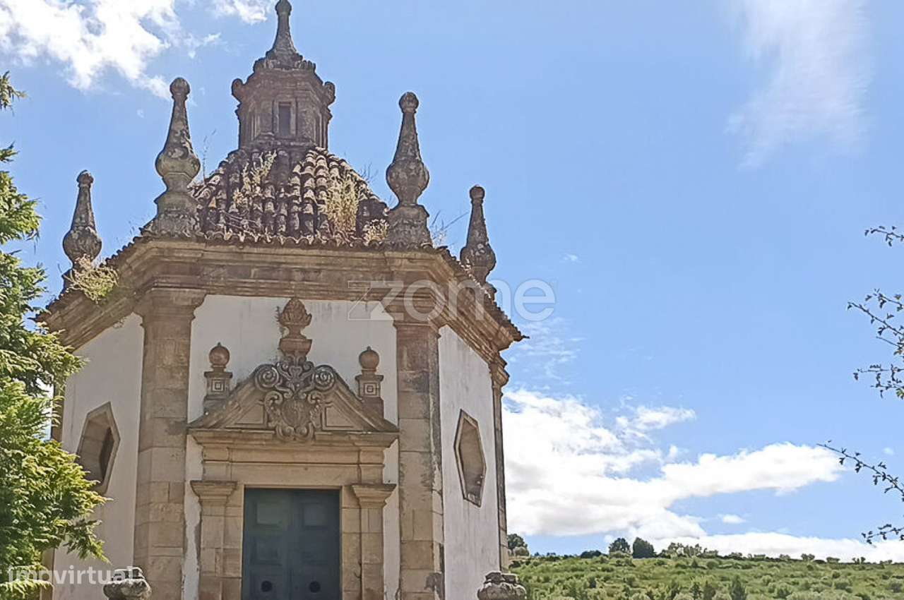 Quinta do Mosteiro de Salzedas com mais 17 ha e património histórico-59