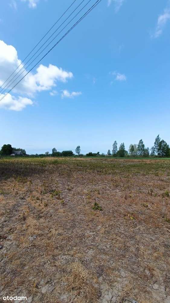 Działka 7km od plaży,idealna na wakacje #groszkowo - Pełny obrazek: 4/14