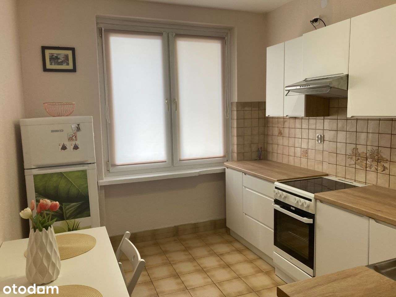 Okolice Carrefour’a ( Hallera), ładny pokój - Pełny obrazek: 4/12