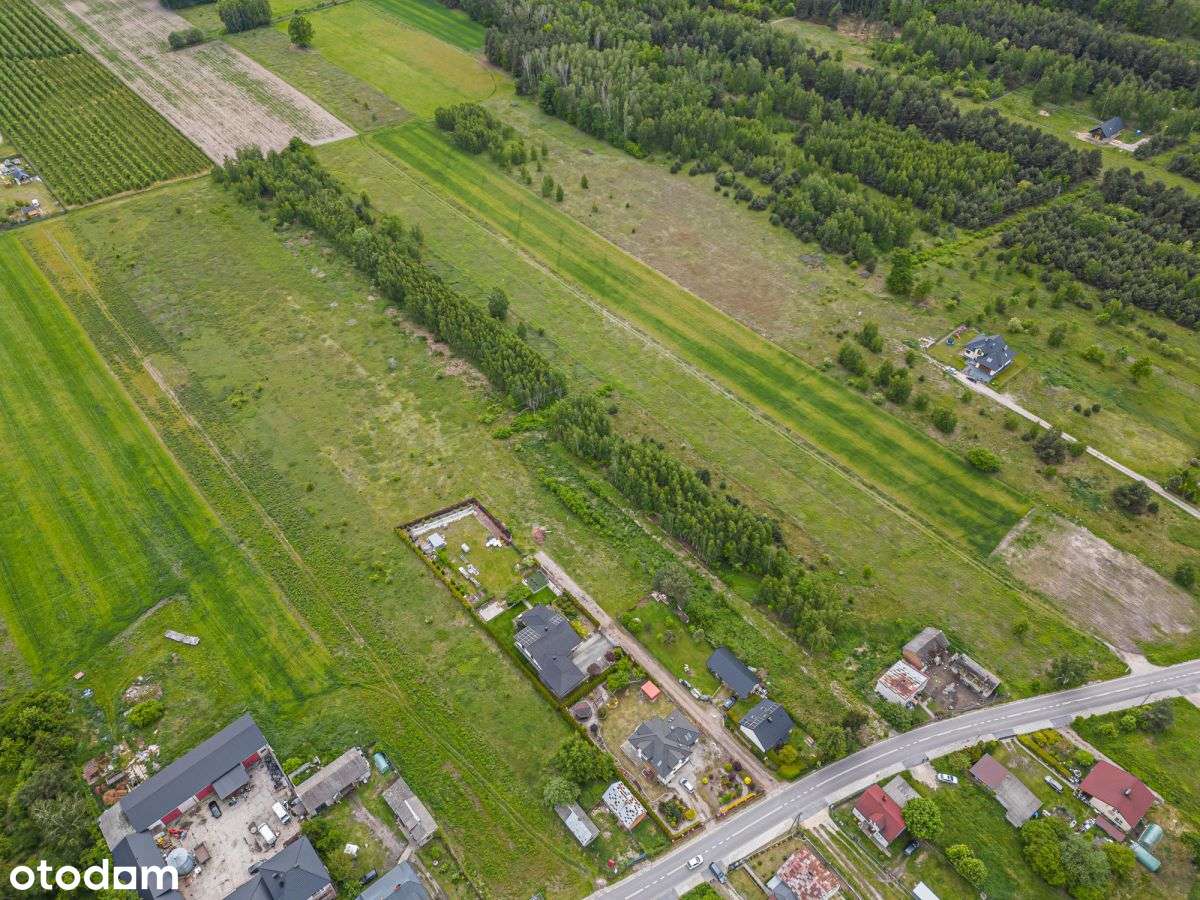 Chojnowski Park | Warszawa 10 km | - Pełny obrazek: 4/10