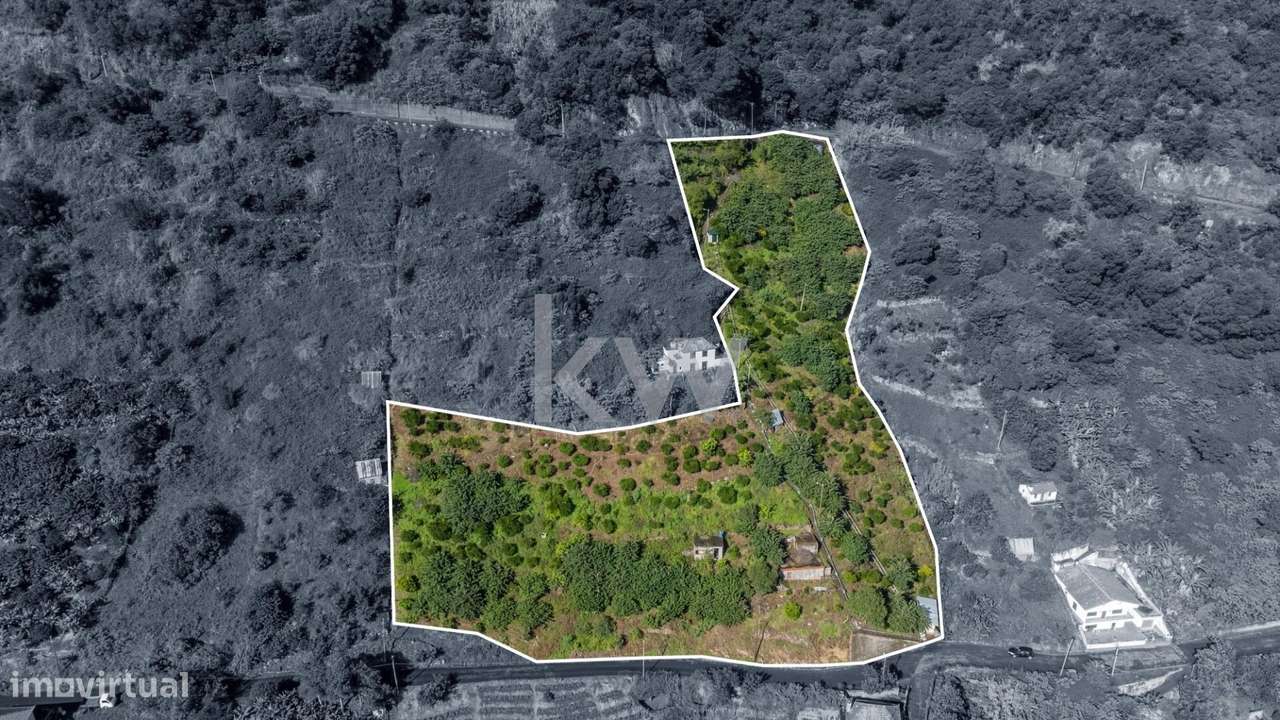 Terreno com 7040 m2, Localizado no Concelho de Santana, Freguesia do F - Grande imagem: 2/24