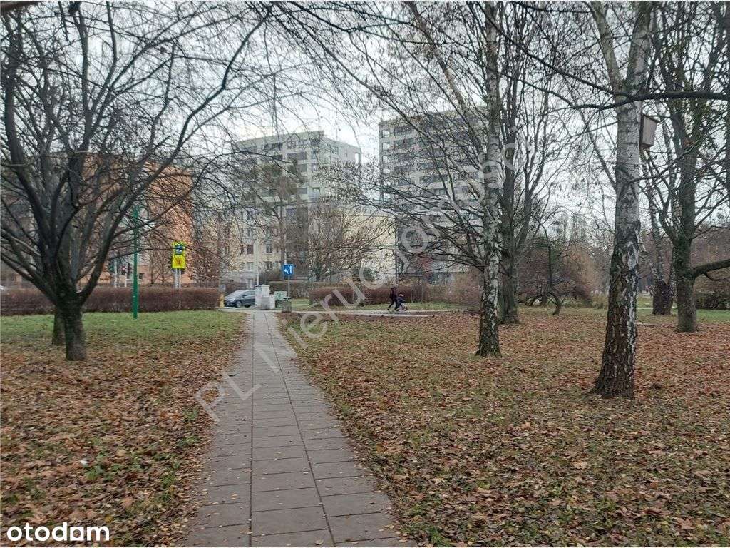 Chwyć za pędzel i stwórz mieszkanie swoich marzeń!-15