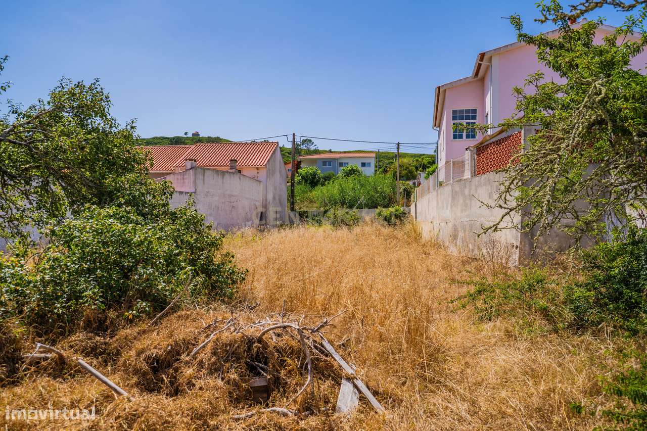 Propriedade composta por prédio, moradia e terreno em Salir do Porto-58