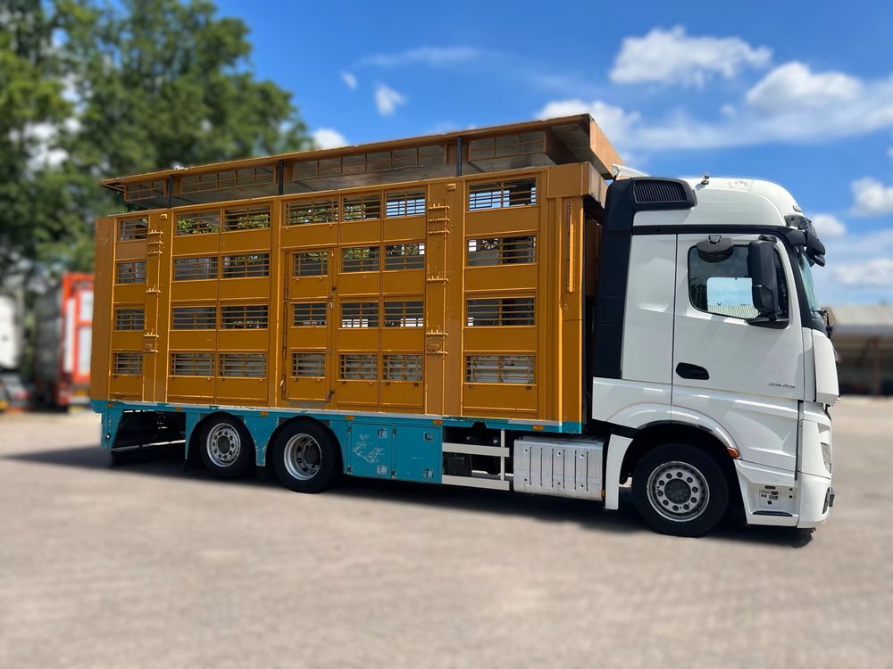 Mercedes-Benz Actros 2019