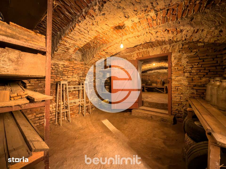 Casa single | Selimbar | Curte | Filigorie | Garaj | Gradina | Pivnita-16