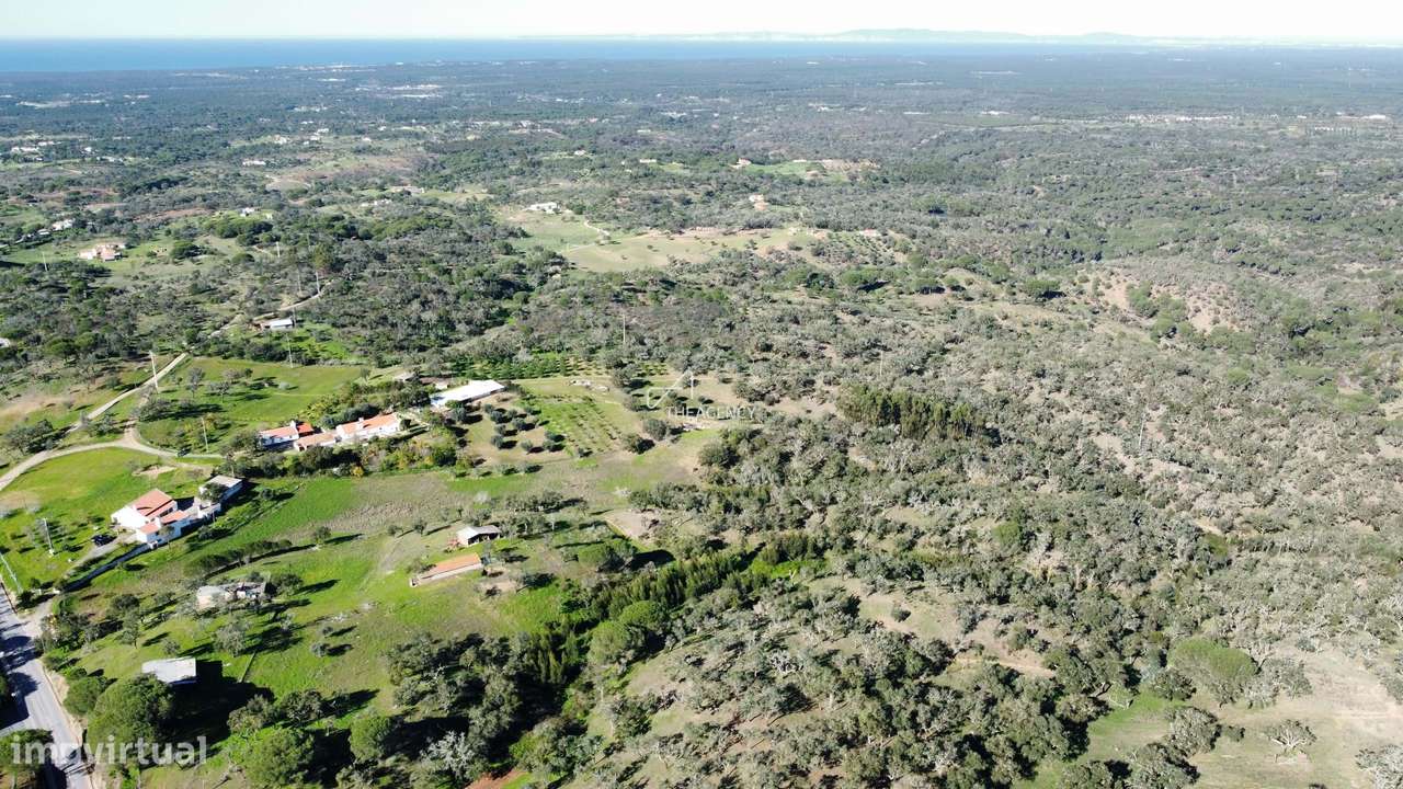 Terreno com 8 hectares  e moradia T3 para renovar - Grande imagem: 4/20