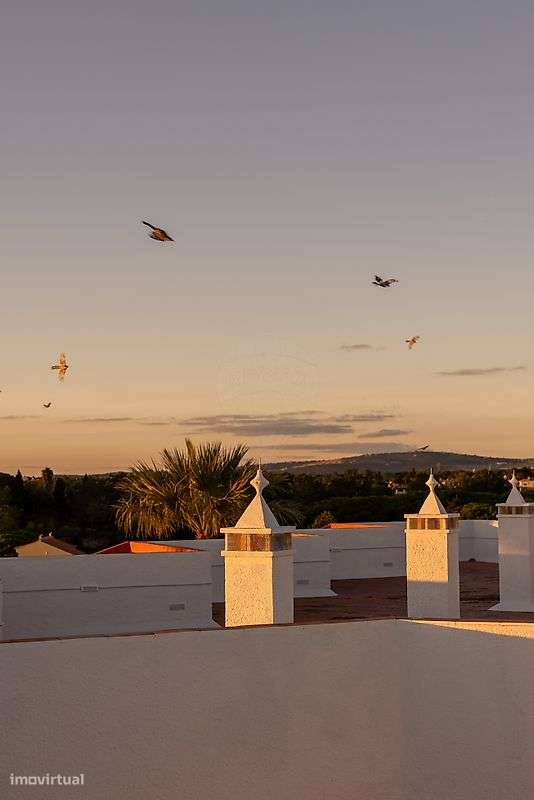 Loja  para venda - Grande imagem: 4/4