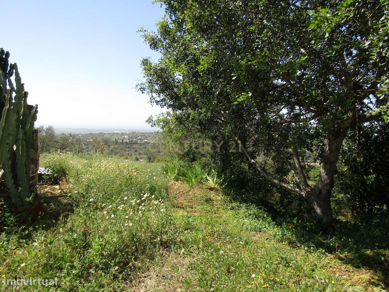 Terreno Rústico - Grande imagem: 5/5