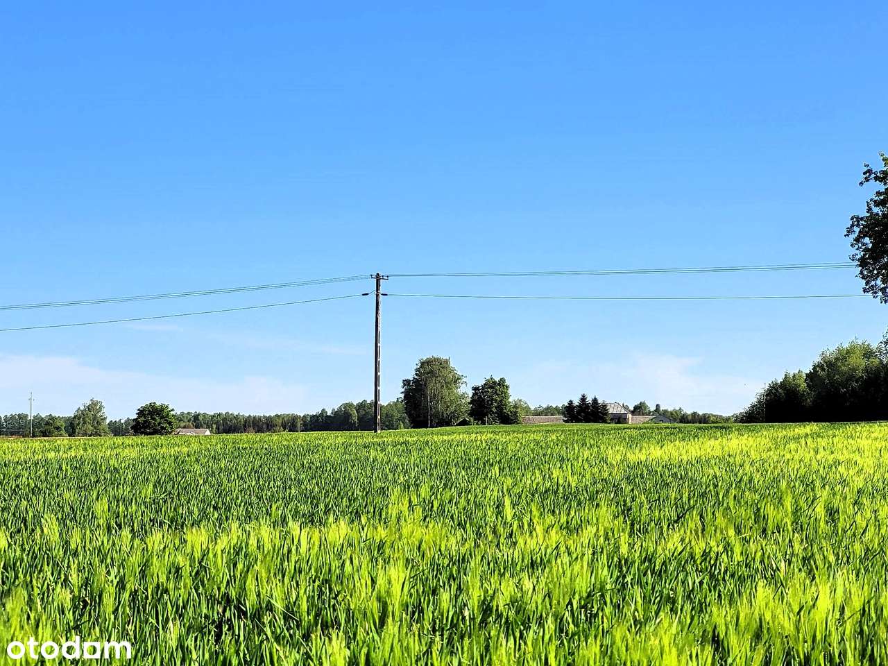 Ziemia rolna i budowlana z MPZP - Pełny obrazek: 1/4