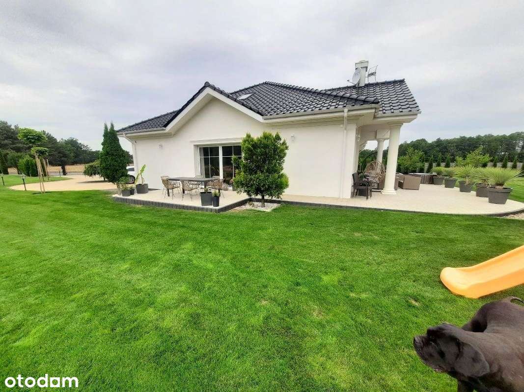 Nowoczesna rezydencja z własnym lasem -Lisiec Mały-6