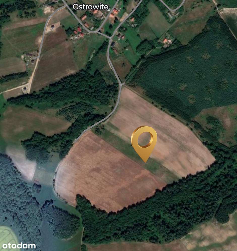 Działka blisko jeziora Dąbrowa Wielka - Pełny obrazek: 4/6