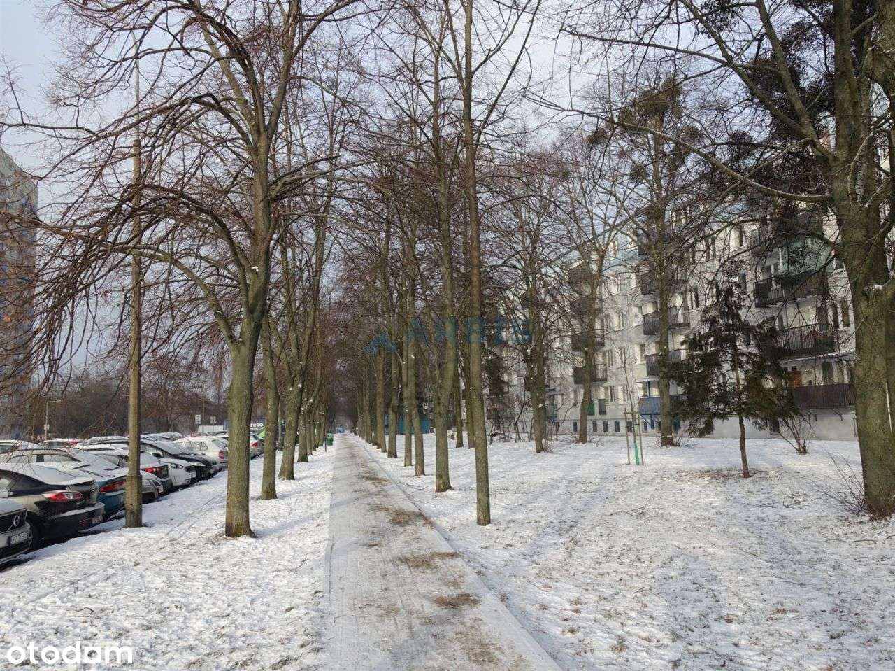 Winogrady , niski blok , 2 piętro,  3 pokoje !-10