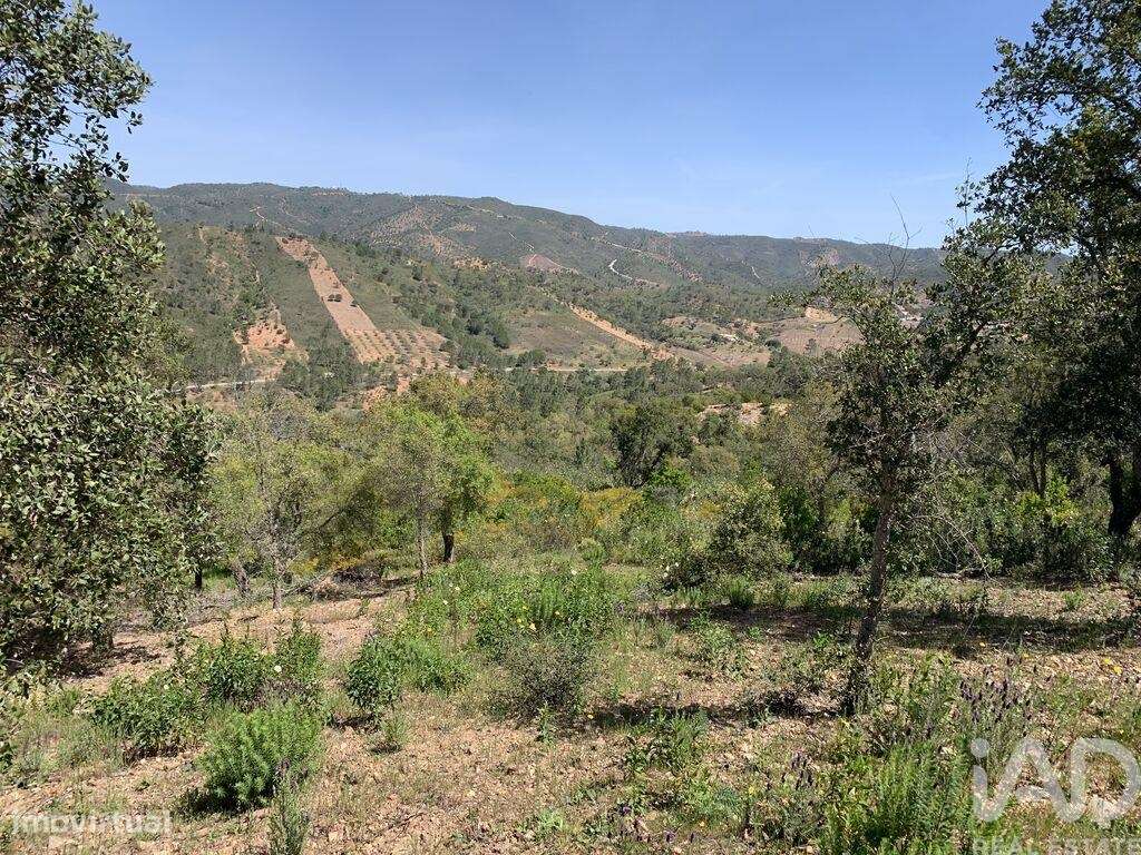 Terreno em Querença, Tôr e Benafim de 9960,00 m2 - Grande imagem: 4/7