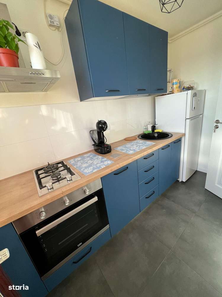 Cartier Brancusi ANL Coloana infinitului-8