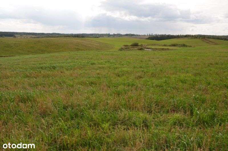 Działka rolna pod okolice Przywidz-3