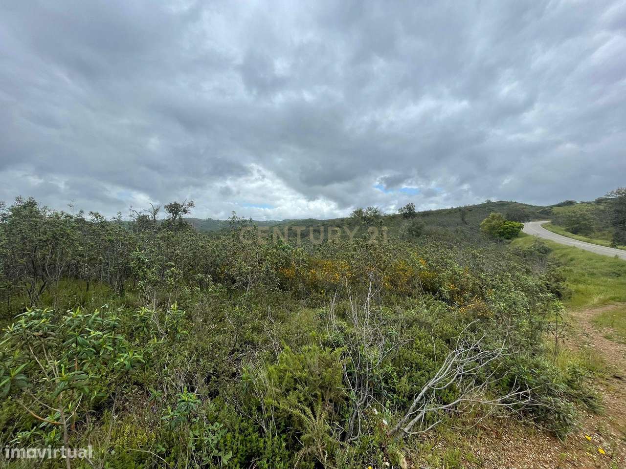 Terreno Rústico com 27885m2 - São Barnabé - Grande imagem: 5/10
