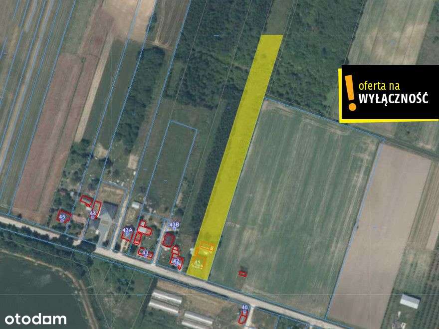 Dom po remoncie 3 km od Chmielnika z dużą działką - Pełny obrazek: 2/19