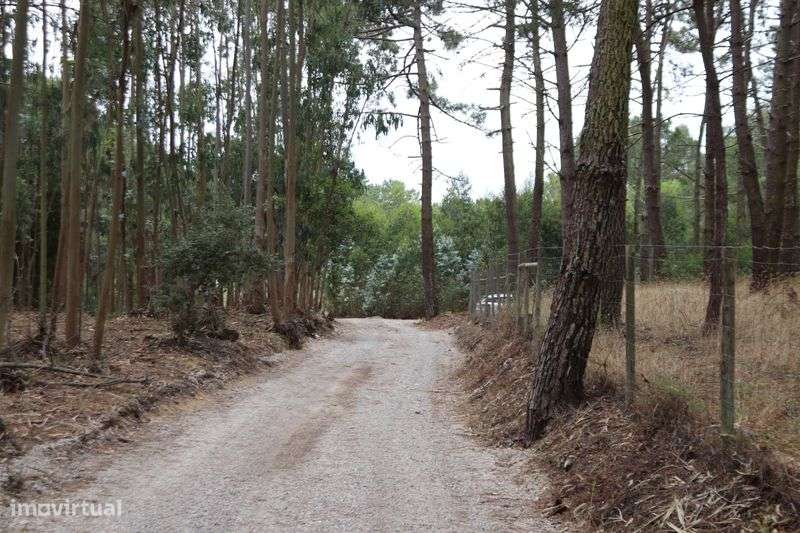 Terreno Rústico em Janas - Grande imagem: 4/11