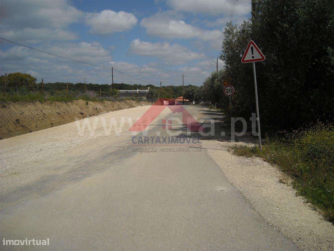 Terreno Para Construção  Venda em Vale da Pedra,Cartaxo - Grande imagem: 2/3