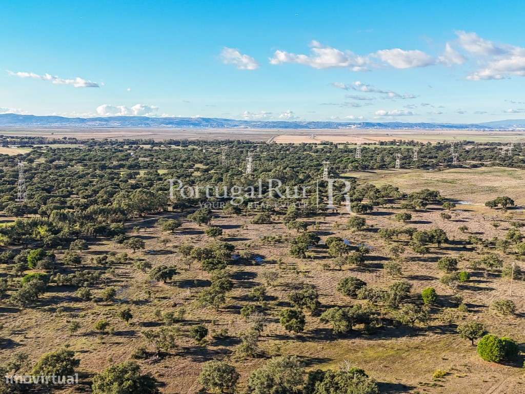 Herdade de 60 hectares para criação bovina e equina perto de Lisboa-28