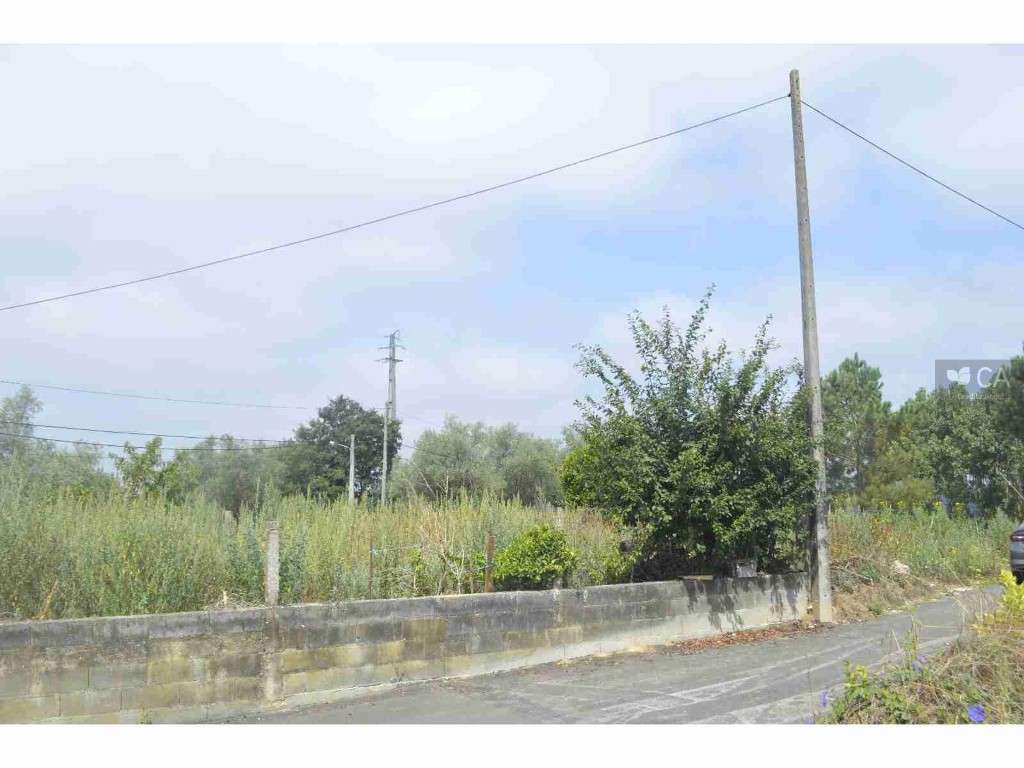 Terreno - Milagres - Grande imagem: 3/17