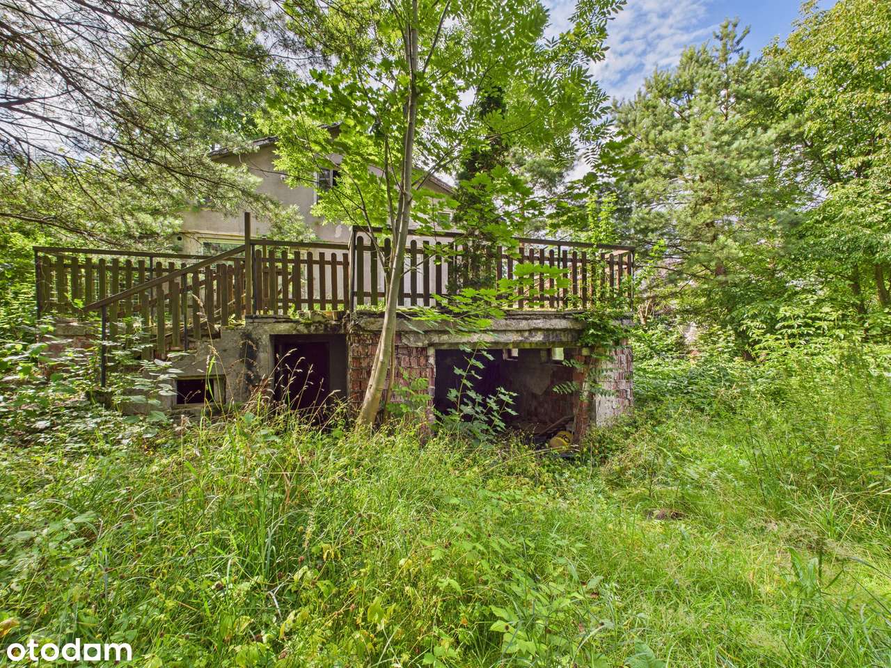 Zielona Działka z Własnym Źródłem i Stawikiem w Świetnej Lokalizacji!-16