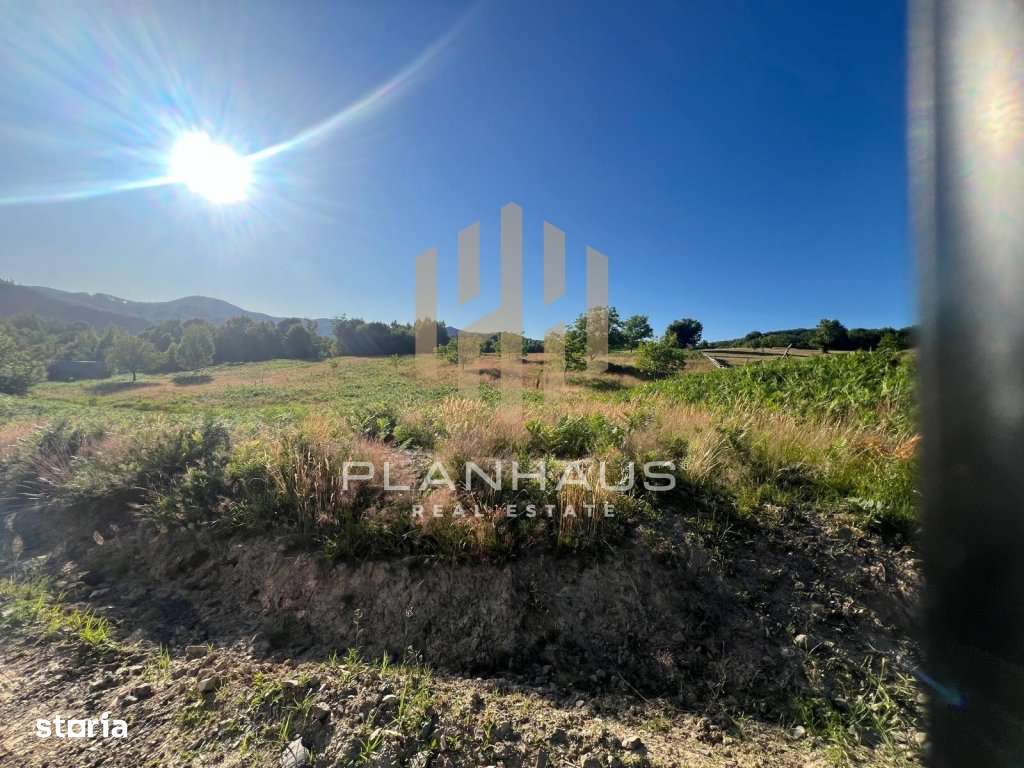 Teren extravilan Izvoare Maramures , zona Vidra , ideal pentru cabană - Imagine principală: 5/8