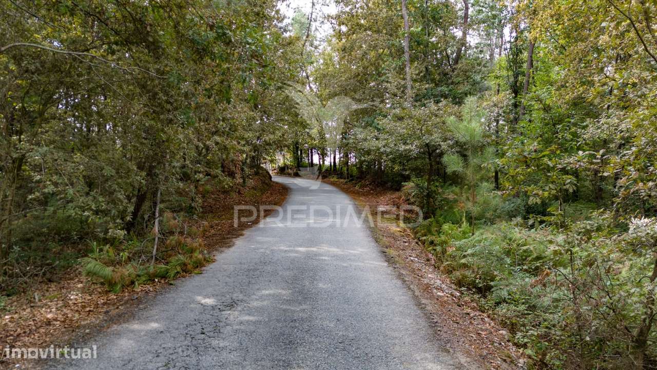 Terreno na Lage - Grande imagem: 5/31