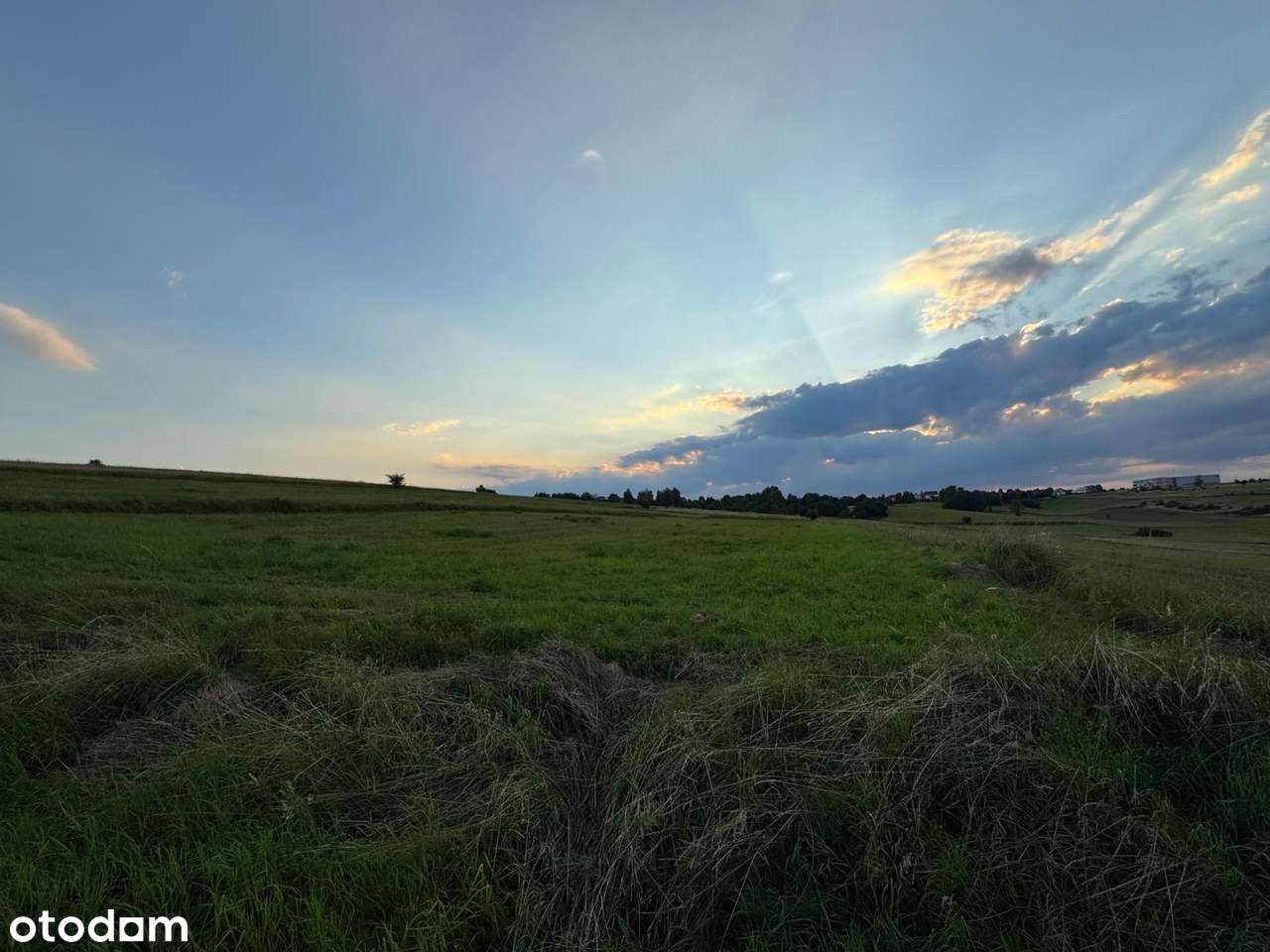 Działka rolna – 37 arów (3700 m²), Grojec k. Krakowa - Pełny obrazek: 4/7