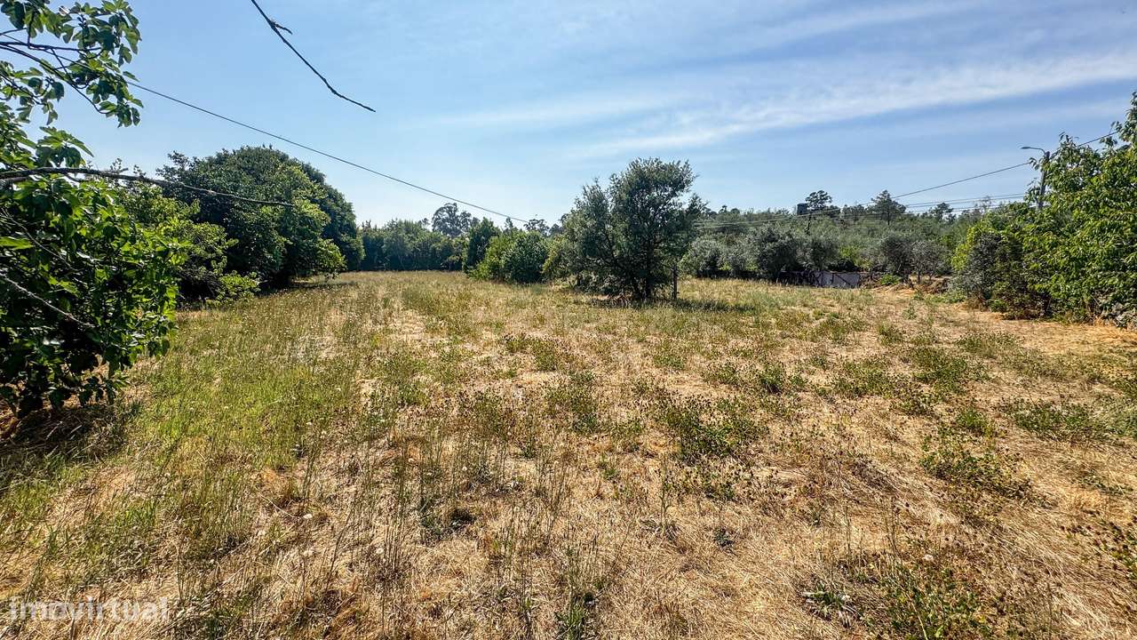 Casa para Recuperar em Sátão - Oportunidade Única-13