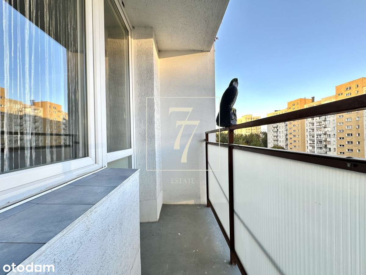 3 pokojowe, gotowe pod najem, umeblowane, KW-11