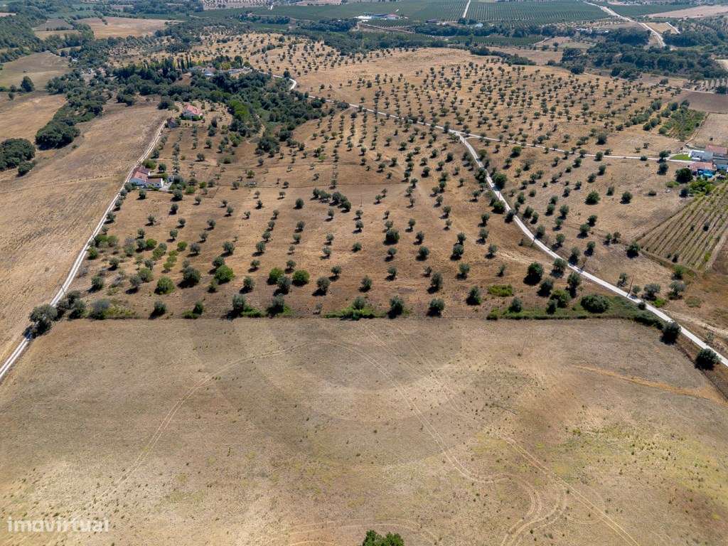 Terreno - Casal bernardino ( terra fria ), Casével, Santarém-3