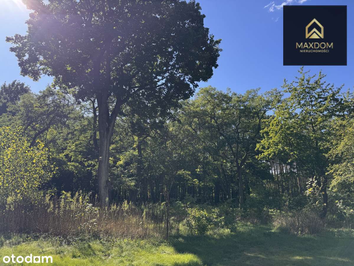 Urokliwa działka budowlana wśród lasu blisko rzeki - Pełny obrazek: 4/16