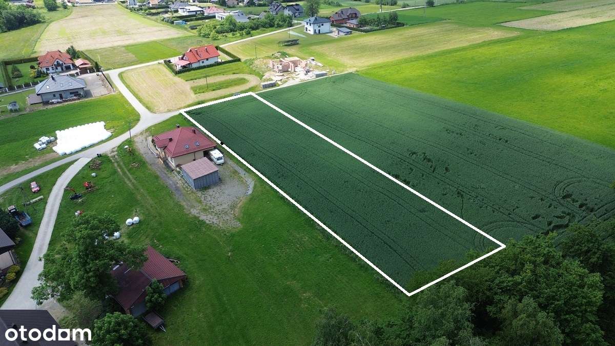 Działka budowlana 26ar widokowa 5km od N.Sącza - Pełny obrazek: 2/16