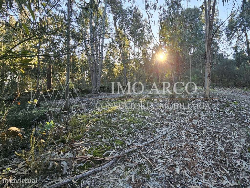Terreno Rústico com 45.900 m² - Pedraça, Cabeceiras de Basto-17