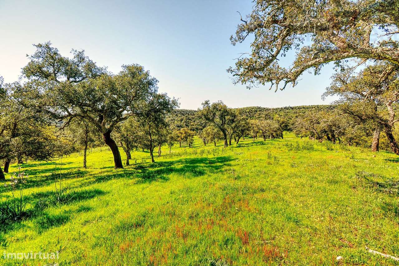 TERRENO EM S.BARTOLOMEU DA SERRA-21