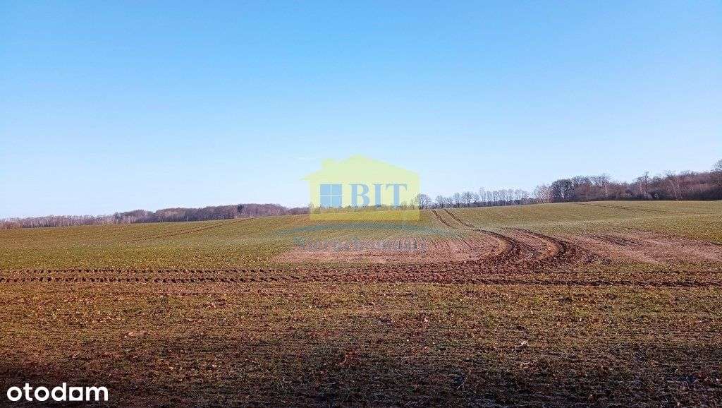 Działka 6066 m2, z dostępem do jeziora Kaleńsko-10