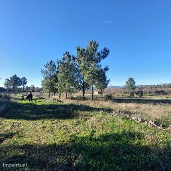 Quintinha com viabilidade de construçao e 2 ruinas - Grande imagem: 4/10