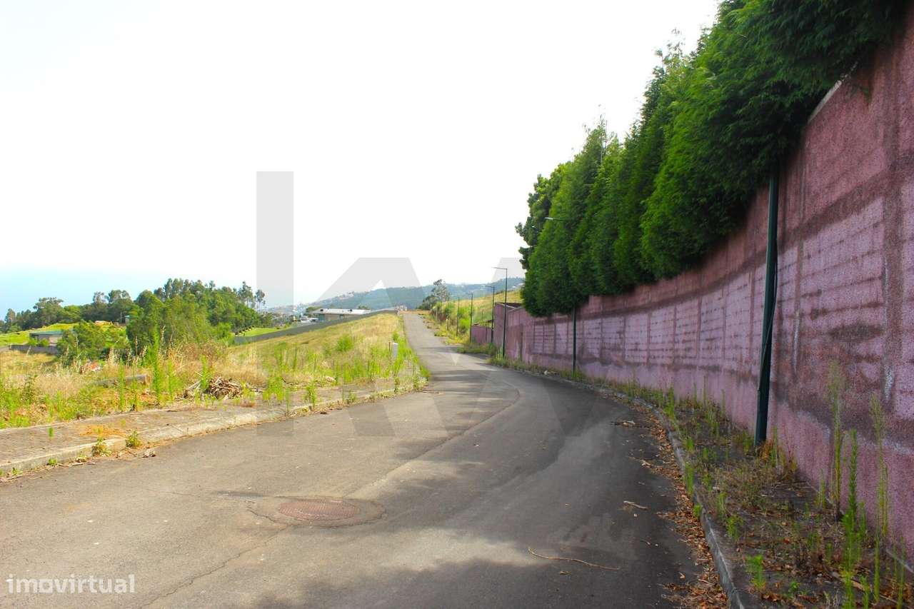 Lote com 1.501m2, declive suave, 320m2 de área de construção, orientaç - Grande imagem: 2/52