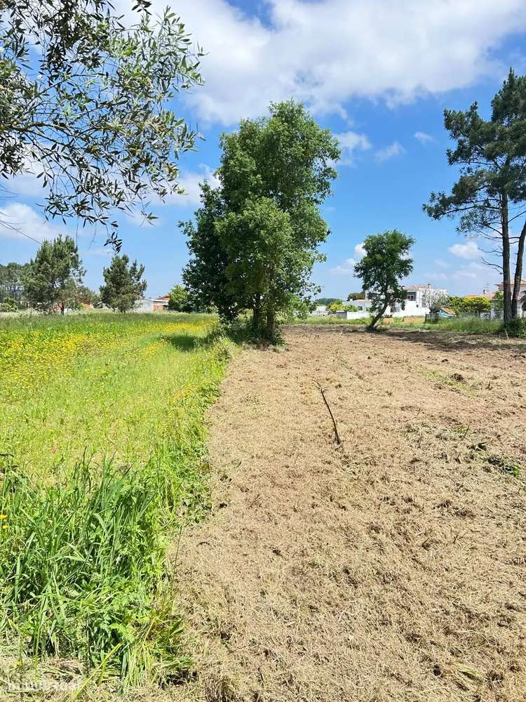 Terreno Urbano em Ouca, Vagos - Vista Cidade e Campo - Grande imagem: 4/10