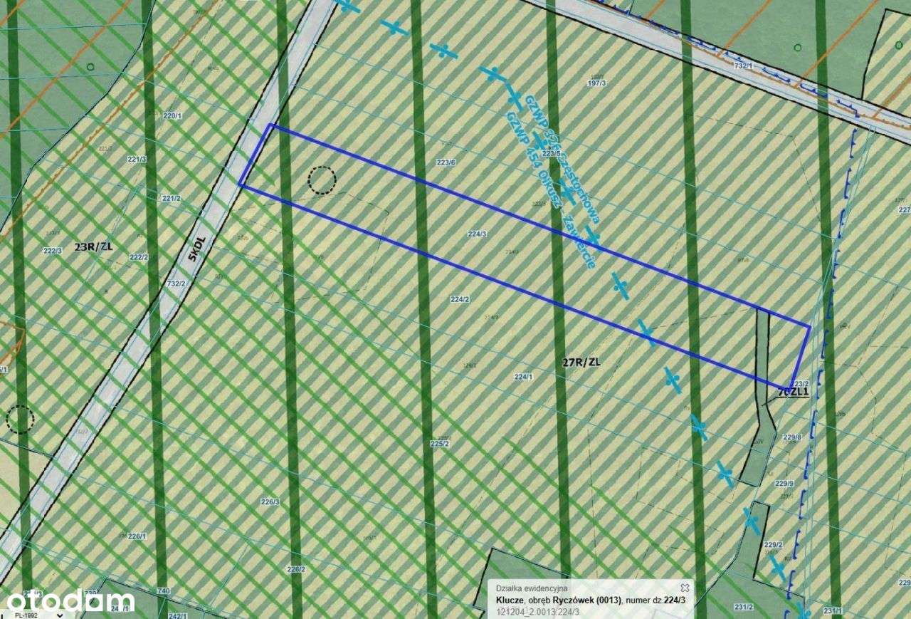 Działka, 13 750 m², Ryczówek - Pełny obrazek: 4/4