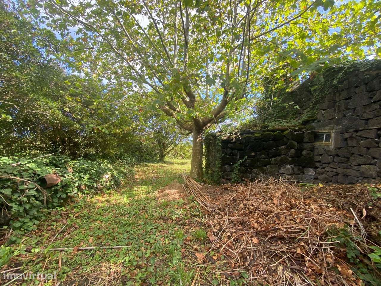 Casa em S.Roque do Pico com vistas sobre S.Jorge - Grande imagem: 5/29