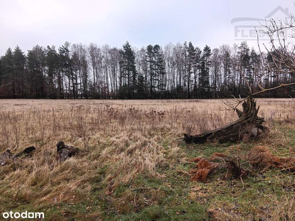 Bardzo ładna działka 12ha  Podlindowo Gm Mszczonów-6