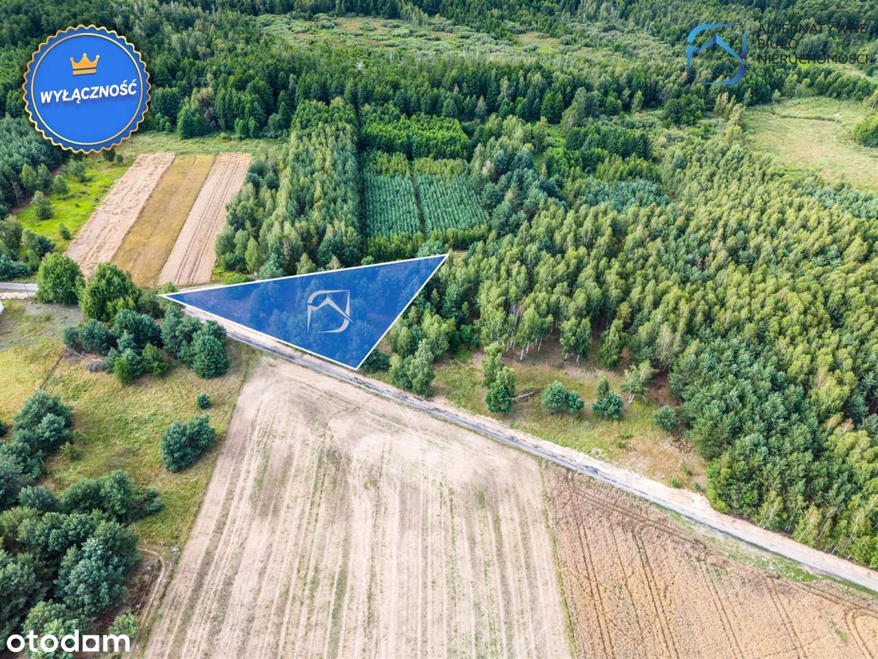 Grunt z potencjałem - 2504m2 - Serniki Kolonia - Pełny obrazek: 5/15