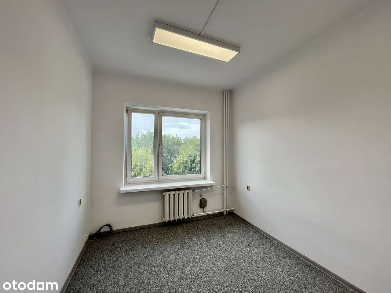 Do wynajęcia: Biuro  – centrum Łodzi, ul. ks. Piotra Skargi 12 - Pełny obrazek: 5/6