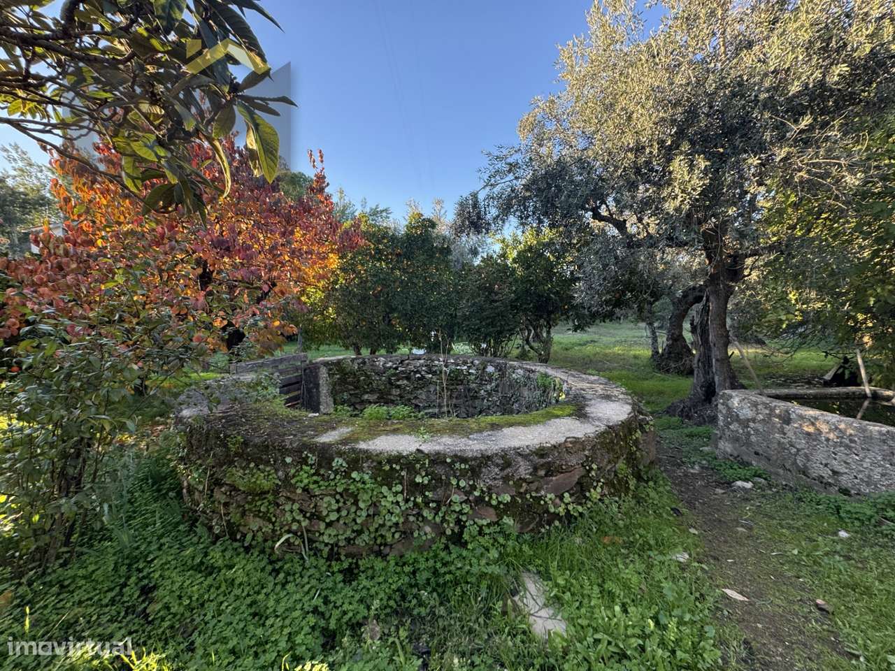 Quinta  Venda em Escalos de Baixo e Mata,Castelo Branco - Grande imagem: 3/31