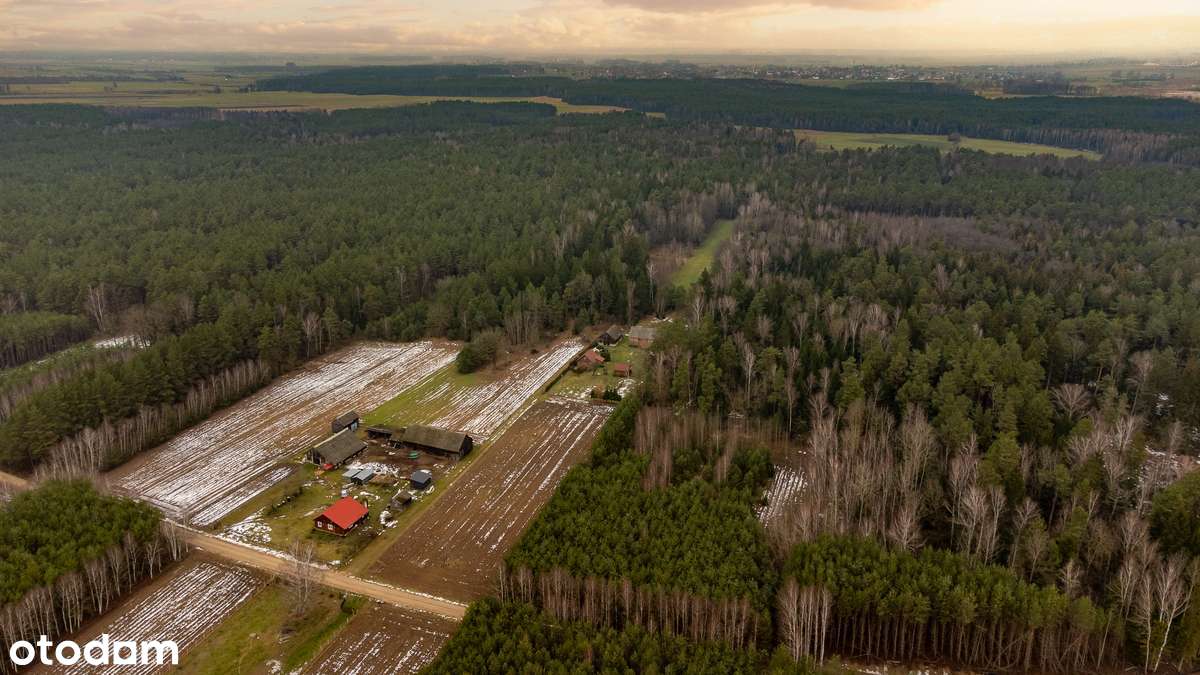 Zadbane siedlisko z charakterem tradycyjnego, podlaskiego gospodarstwa-14