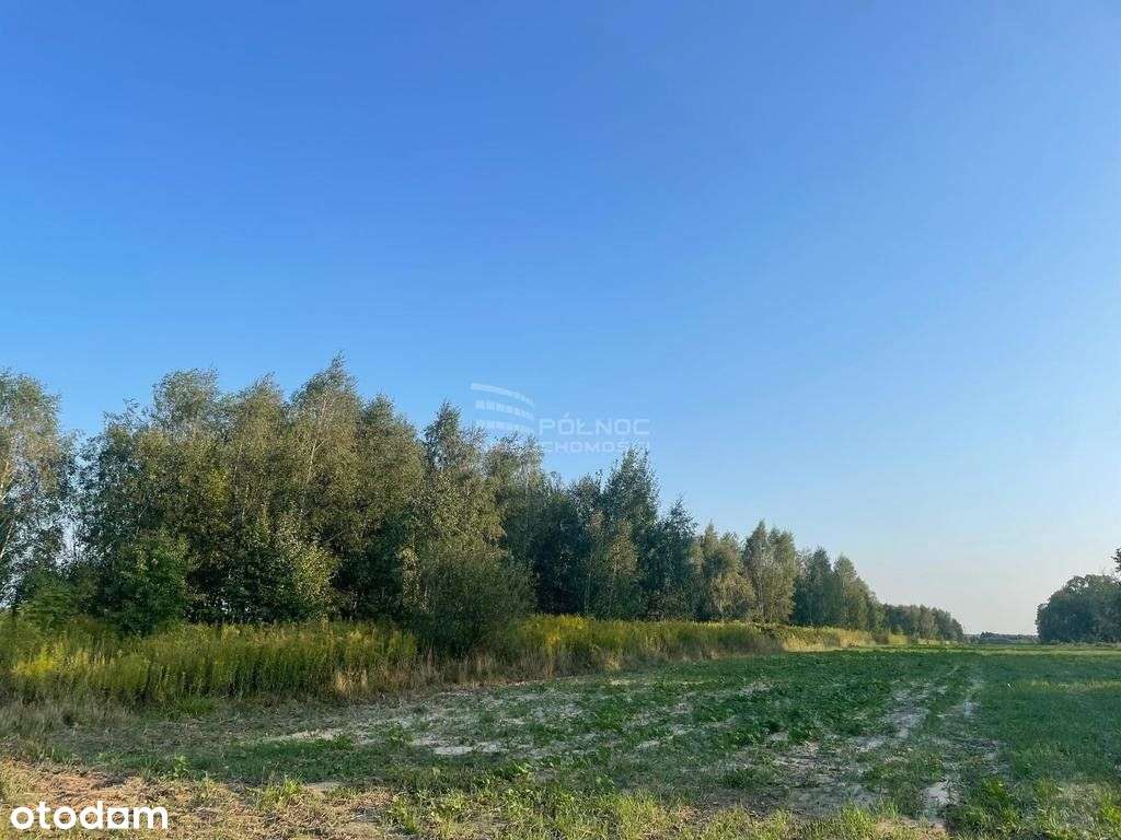 Dłużew nad Świdrem działka z możliwością podziału - Pełny obrazek: 4/7