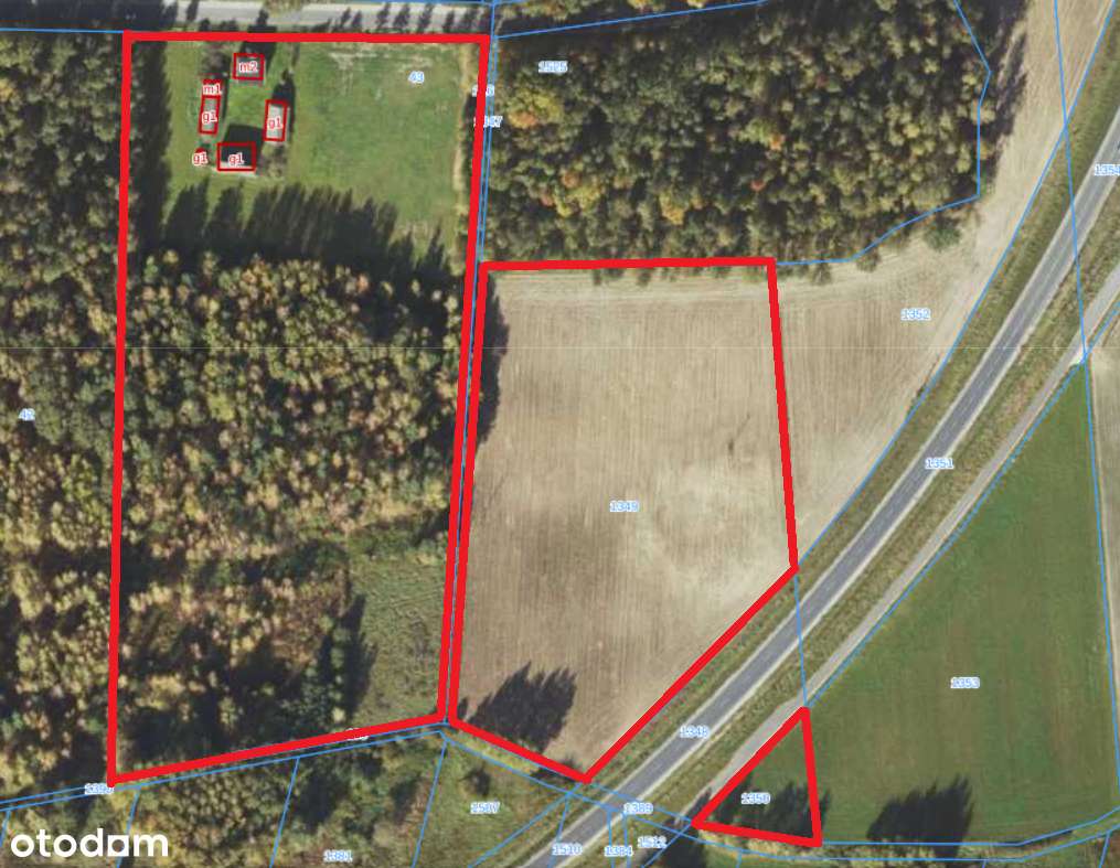 Siedlisko / ranczo / gospodarstwo / dom 6,4 ha + las + staw + zabudow. - Pełny obrazek: 4/5